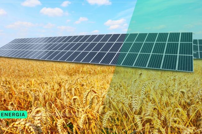 Capas_Artigos-3-768x432 (1)